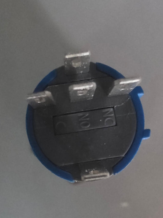 Light up push button